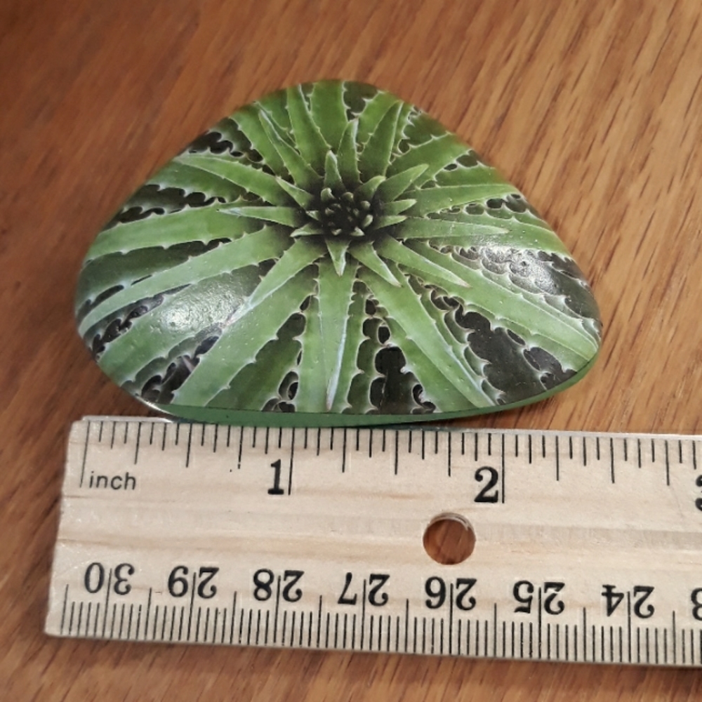Succulent Art Rocks New - Picture 9 of 9
